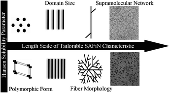 Graphical abstract: Influence of solvent on the supramolecular architectures in molecular gels