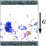 Graphical abstract: The interplay of sedimentation and crystallization in hard-sphere suspensions