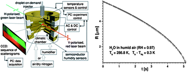 Graphical abstract: Nanoscale transport of energy and mass flux during evaporation of liquid droplets into inert gas: computer simulations and experiments