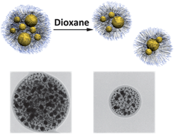 Graphical abstract: Solvent-induced division of plasmonic clusters