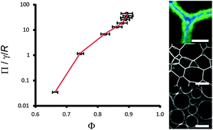 Graphical abstract: Squeezing particle-stabilized emulsions into biliquid foams – equation of state