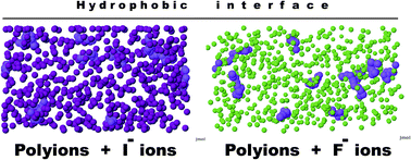 Graphical abstract: Adsorption of cationic polyions onto a hydrophobic surface in the presence of Hofmeister salts