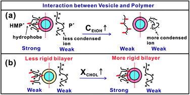 Graphical abstract: Gelation of ethosome-like catanionic vesicles by water-soluble polymers: ethanol and cholesterol effects