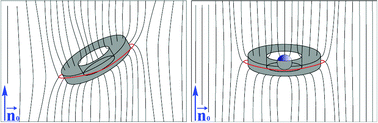 Graphical abstract: Ring around the colloid