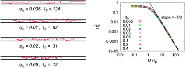 Graphical abstract: Semi-flexible polymer chains in quasi-one-dimensional confinement: a Monte Carlo study on the square lattice