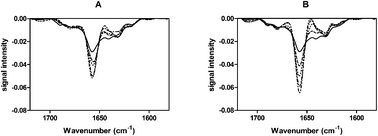 Graphical abstract: Contributions of local mobility and degree of retention of native secondary structure to the stability of recombinant human growth hormone (rhGH) in glassy lyophilized formulations