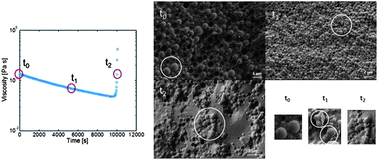 Graphical abstract: Shear-stability and gelation of inverse latexes