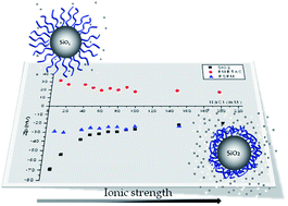 Graphical abstract: Spherical polyelectrolyte brushes' constant zeta potential with varying ionic strength: an electrophoretic study using a hairy layer approach