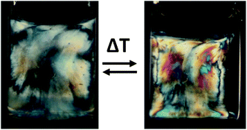 Graphical abstract: Thermo-responsive discotic nematic hydrogels