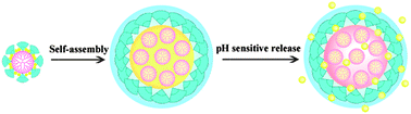 Graphical abstract: A codendrimer of PAMAM decorated with oligoethylene glycol dendrons: synthesis, self-assembly, and application as a drug carrier