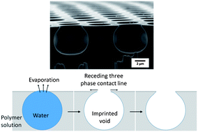Graphical abstract: The dominant role of the solvent–water interface in water droplet templating of polymers
