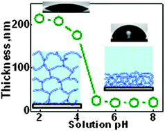 Graphical abstract: Highly swellable ultrathin poly(4-vinylpyridine) multilayer hydrogels with pH-triggered surface wettability