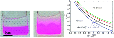 Graphical abstract: Creases on the interface between two soft materials