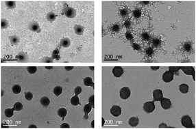 Graphical abstract: Facile synthesis of thermoresponsive nanohybrids