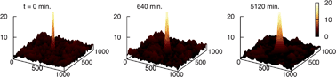 Graphical abstract: Molecular weight dependence of near surface dynamical mechanical properties of polymers