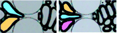 Graphical abstract: Neighbor-induced bubble pinch-off: novel mechanisms of in situ foam generation in microfluidic channels