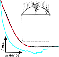 Graphical abstract: Elastic properties of cells in the context of confluent cell monolayers: impact of tension and surface area regulation