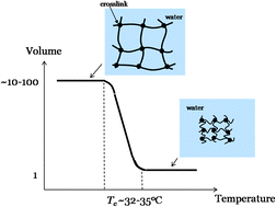 Graphical abstract: Force and stroke of a hydrogel actuator