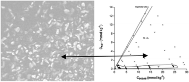 Graphical abstract: The DODAB–AOT–water system: vesicle formation and interactions with salts or synthetic polyelectrolytes