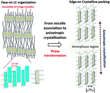 Graphical abstract: Impact of undercooling on epitaxially oriented liquid crystalline organizations of poly(3-hexylthiophene) below the eutectic temperature