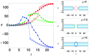 Graphical abstract: Activated pathways for the directed insertion of patterned nanoparticles into polymer membranes