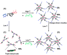 Graphical abstract: Multi-responsive physical gels formed by a biosynthetic asymmetric triblock protein polymer and a polyanion