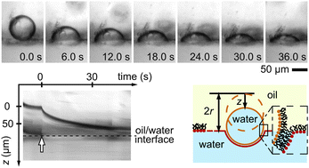 Graphical abstract: Dynamical formation of lipid bilayer vesicles from lipid-coated droplets across a planar monolayer at an oil/water interface