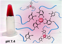 Graphical abstract: Versatile tuning of supramolecular hydrogels through metal complexation of oxidation-resistant catechol-inspired ligands