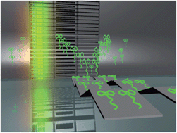 Graphical abstract: Molecular insights into aggregates made of amphiphilic Fmoc-tetrapeptides
