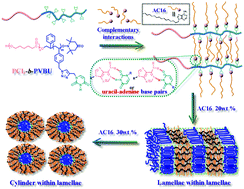 Graphical abstract: Bioinspired assembly of functional block-copolymer nanotemplates