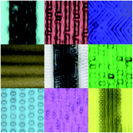 Graphical abstract: Guided wrinkling in swollen, pre-patterned photoresist thin films with a crosslinking gradient