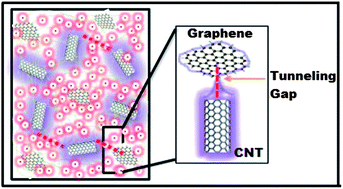 Graphical abstract: Synergistic effect of multi walled carbon nanotubes and reduced graphene oxides in natural rubber for sensing application