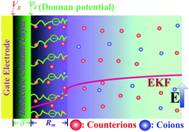 Graphical abstract: Field effect regulation of Donnan potential and electrokinetic flow in a functionalized soft nanochannel