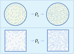 Graphical abstract: Structure of two-dimensional rods confined by a line boundary