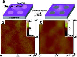 Graphical abstract: Charge-induced local dewetting on polymer electrets studied by atomic force microscopy