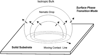 Graphical abstract: Dynamic wetting model for the isotropic-to-nematic transition over a flat substrate