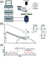 Graphical abstract: Microrheology of cells with magnetic force modulation atomic force microscopy