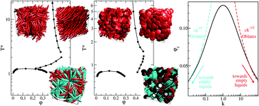 Graphical abstract: Empty liquid state and self-assembly of high valence non-spherical colloidal systems