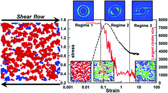 Graphical abstract: Structural evolution of colloidal gels at intermediate volume fraction under start-up of shear flow