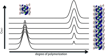 Graphical abstract: Mechanistic control over morphology: self-assembly of a discotic amphiphile in water