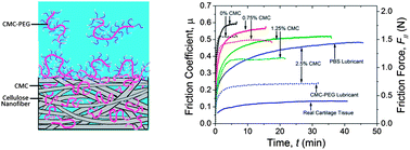 Graphical abstract: A cartilage-inspired lubrication system