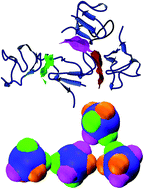 Graphical abstract: Characterizing protein crystal contacts and their role in crystallization: rubredoxin as a case study