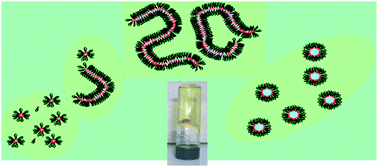 Graphical abstract: Wormlike reverse micelles