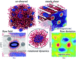 Graphical abstract: Dynamics of micelle–nanoparticle systems undergoing shear: a coarse-grained molecular dynamics approach