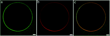 Graphical abstract: Charge-driven co-assembly of polyelectrolytes across oil–water interfaces