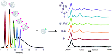 Graphical abstract: PAMAM dendrimers as quantized building blocks for novel nanostructures