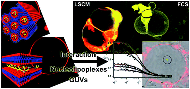 Graphical abstract: Monitoring the interaction of nucleolipoplexes with model membranes