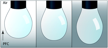 Graphical abstract: Surface tension of water in the presence of perfluorocarbon vapors