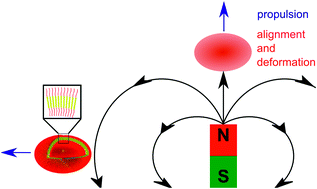 Graphical abstract: Manipulation of micro- and nanostructure motion with magnetic fields