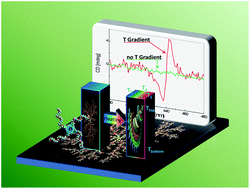 Graphical abstract: Supramolecular chirality induced by a weak thermal force